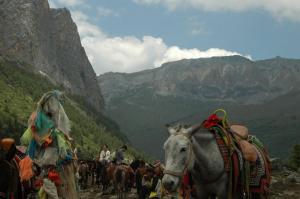 Garze Daocheng Yading